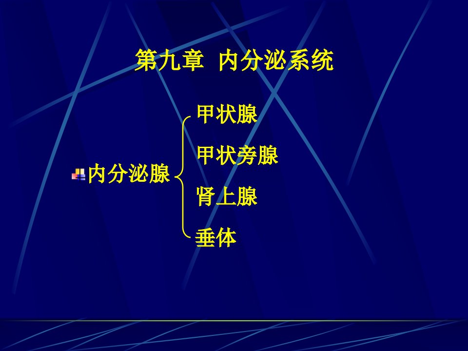 第九章内分泌系统