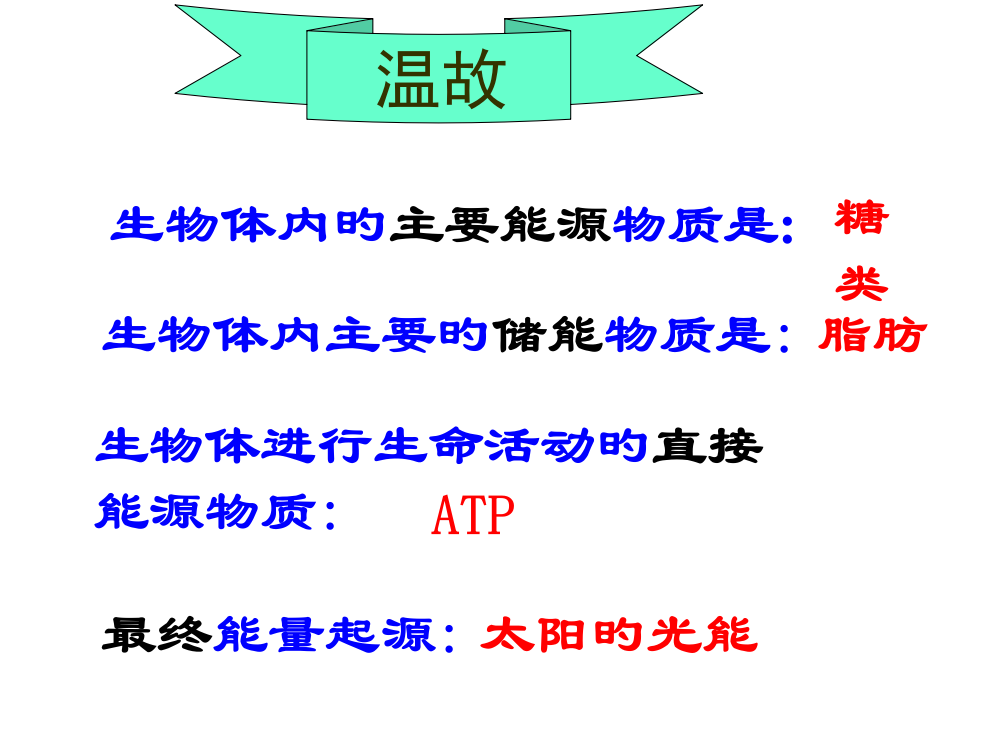 叶绿体中色素的提取和分离4