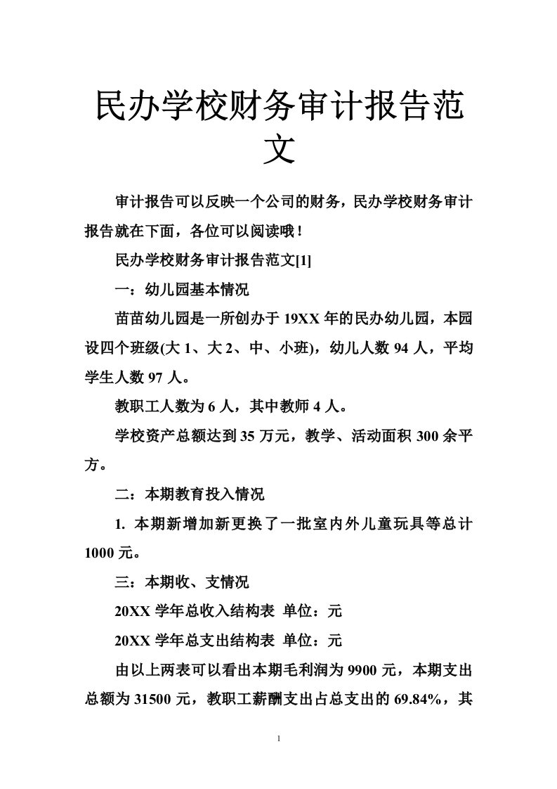 民办学校财务审计报告范文