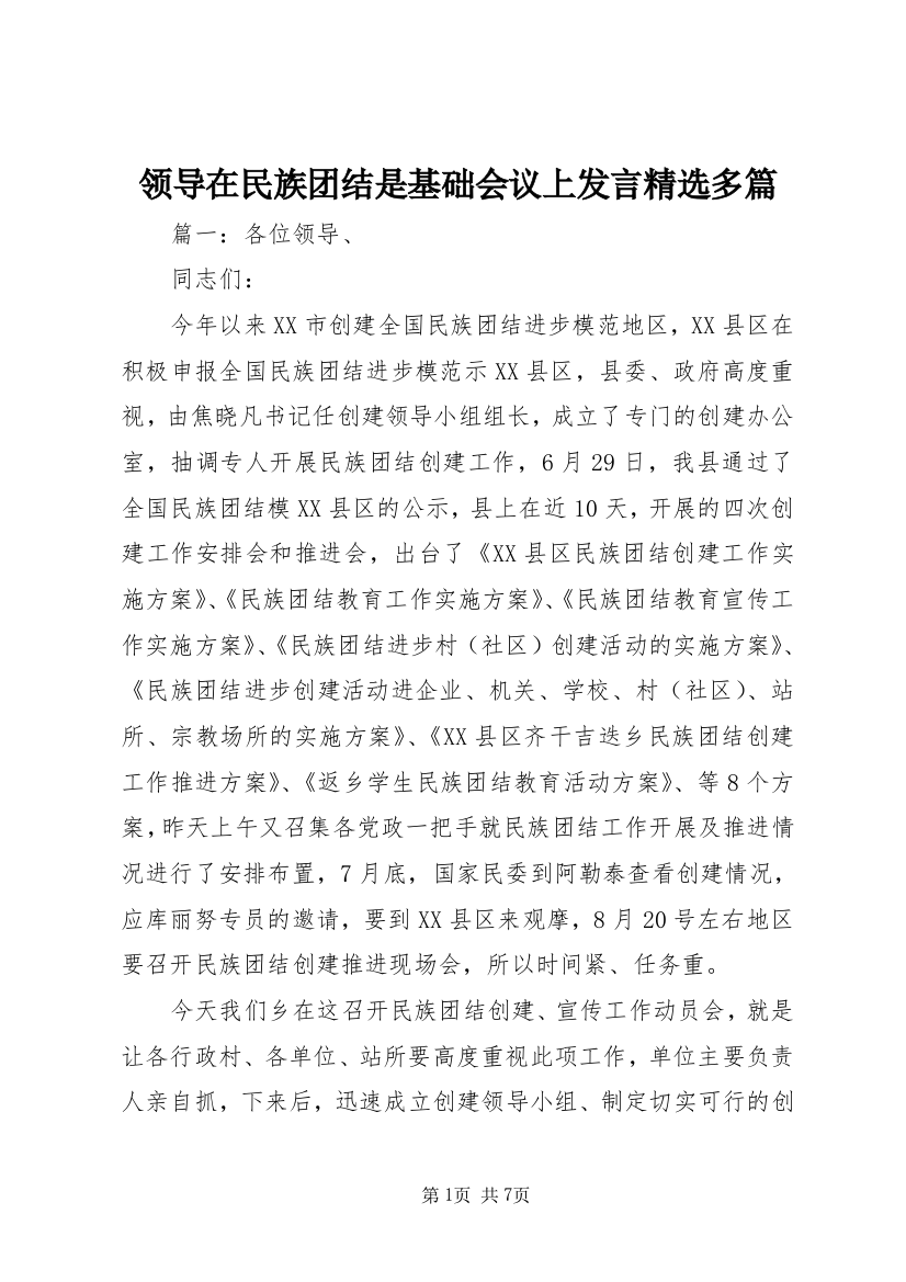 领导在民族团结是基础会议上发言精选多篇