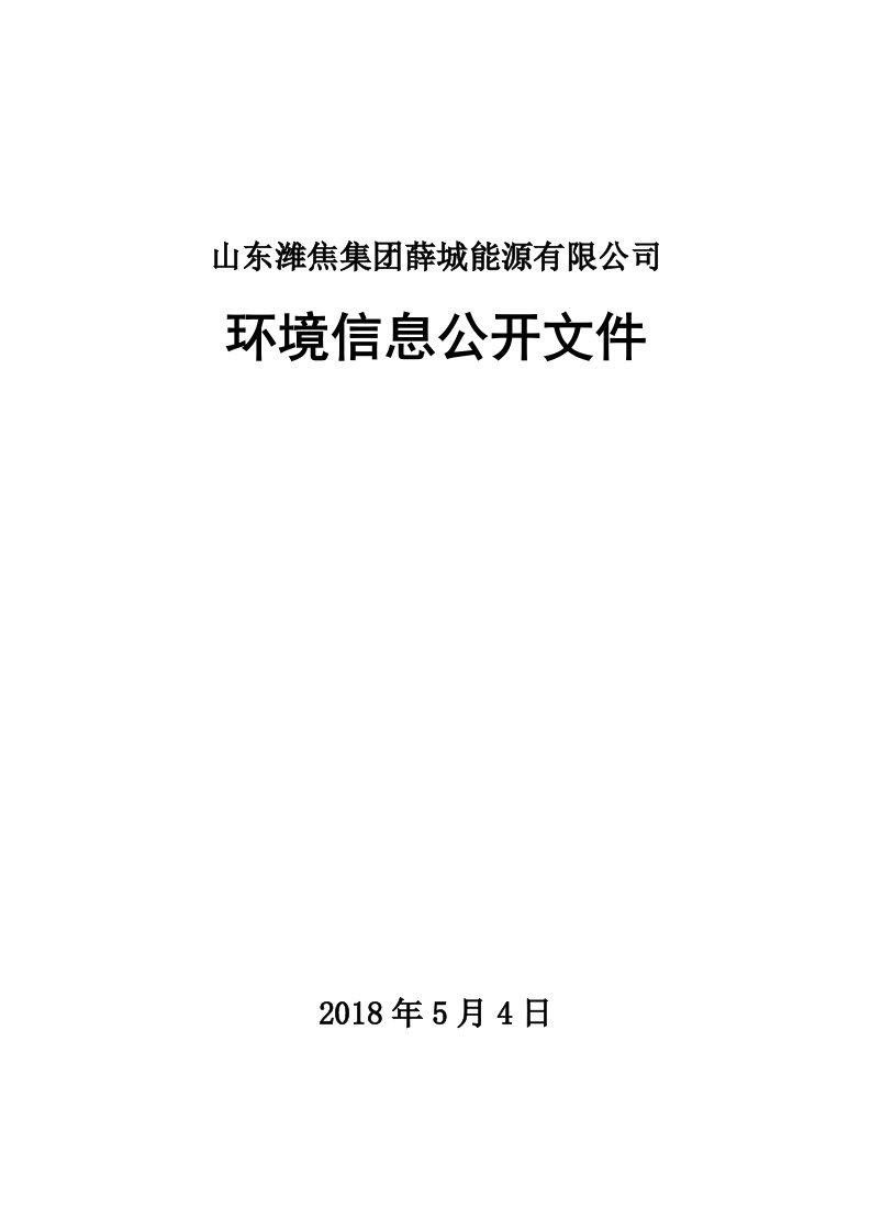 山东潍焦集团薛城能源有限公司