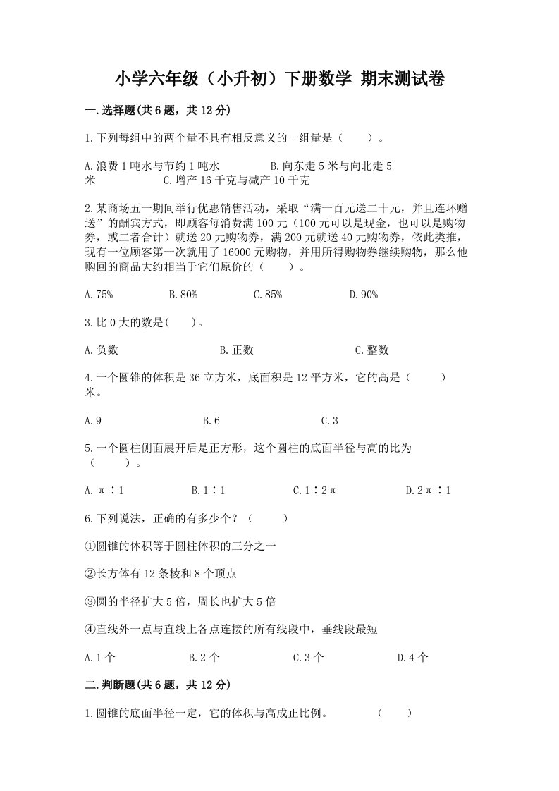 小学六年级（小升初）下册数学