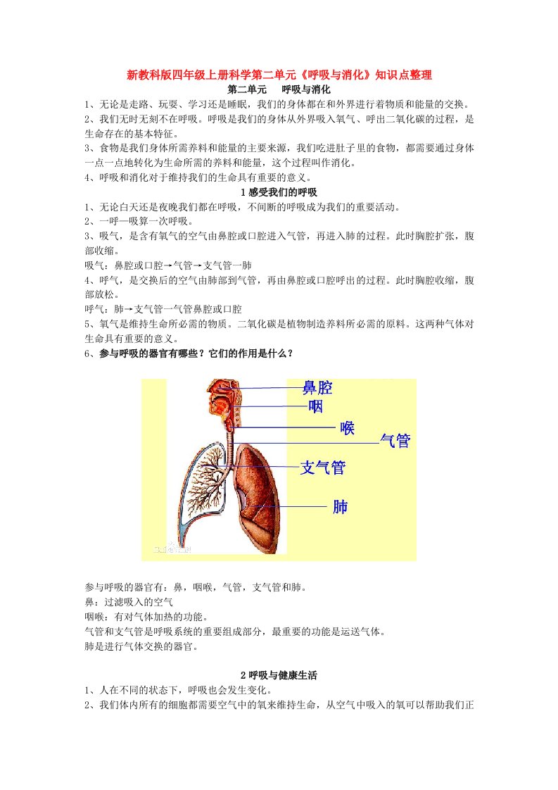 新教科版四年级上册科学第二单元《呼吸与消化》知识点整理