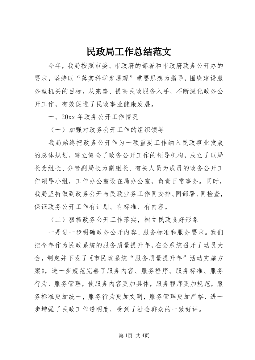 民政局工作总结范文