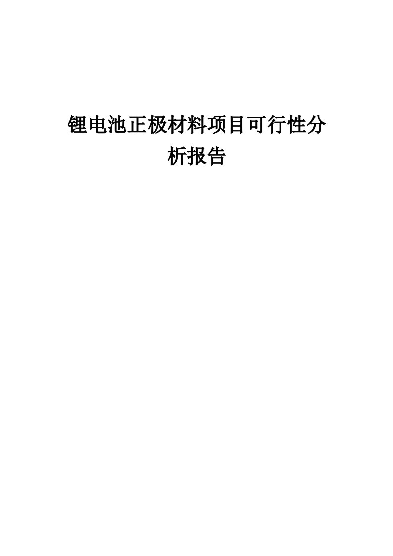 2024年锂电池正极材料项目可行性分析报告