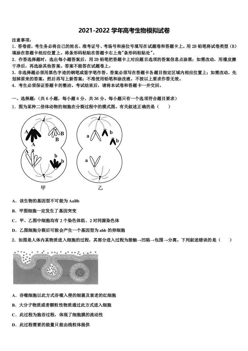 辽宁省沈阳市重点高中联合体2022年高三第二次诊断性检测生物试卷含解析