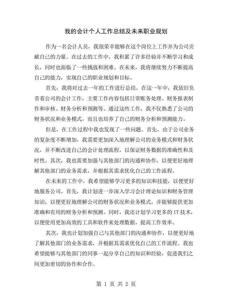 我的会计个人工作总结及未来职业规划