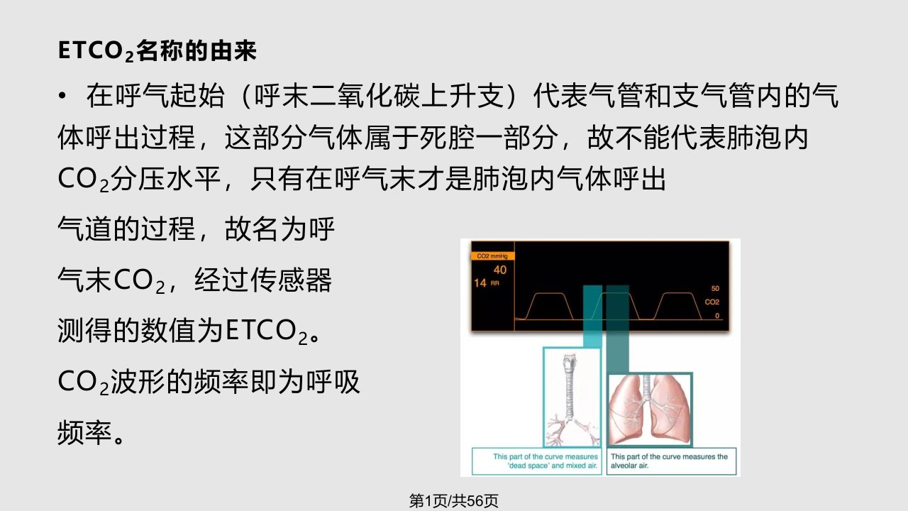 呼末二氧化碳监测