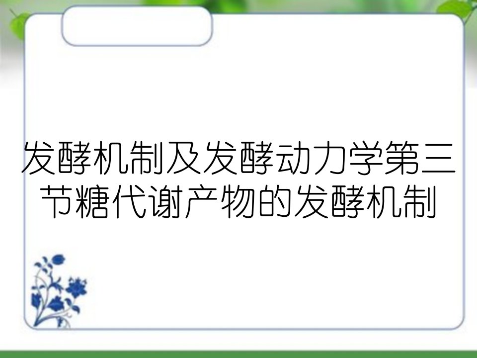 发酵机制及发酵动力学第三节糖代谢产物的发酵机制