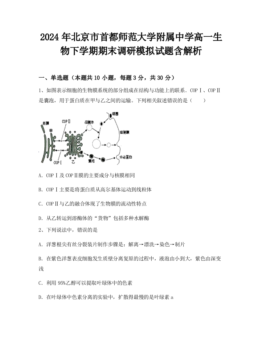 2024年北京市首都师范大学附属中学高一生物下学期期末调研模拟试题含解析