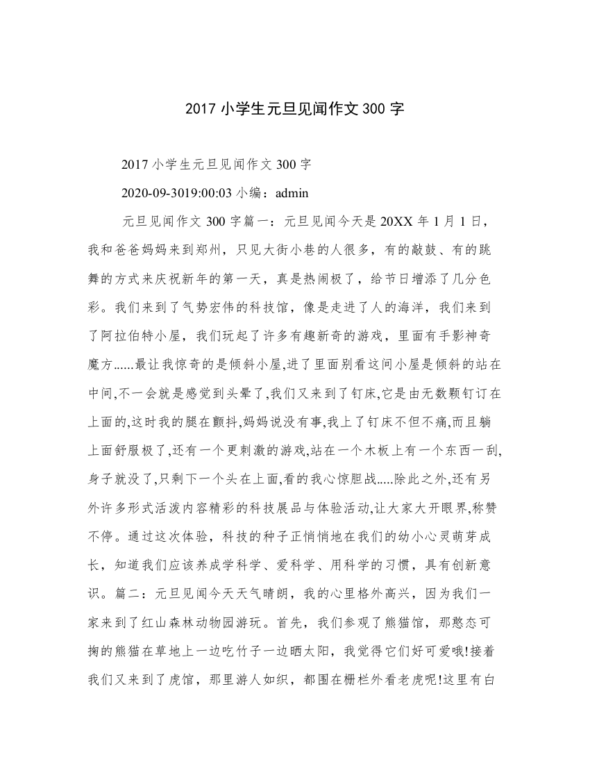 2017小学生元旦见闻作文300字