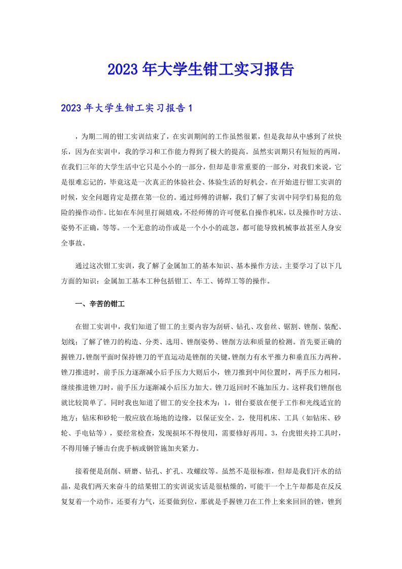 【精选】2023年大学生钳工实习报告