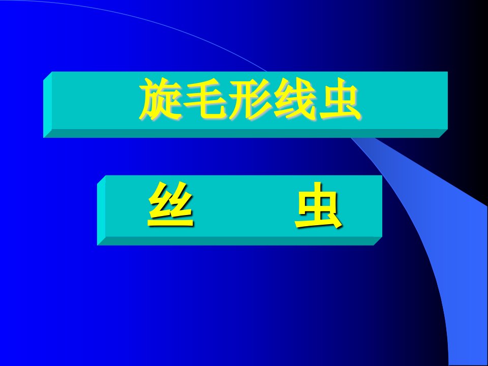 第六节旋毛形线虫（旋毛虫）