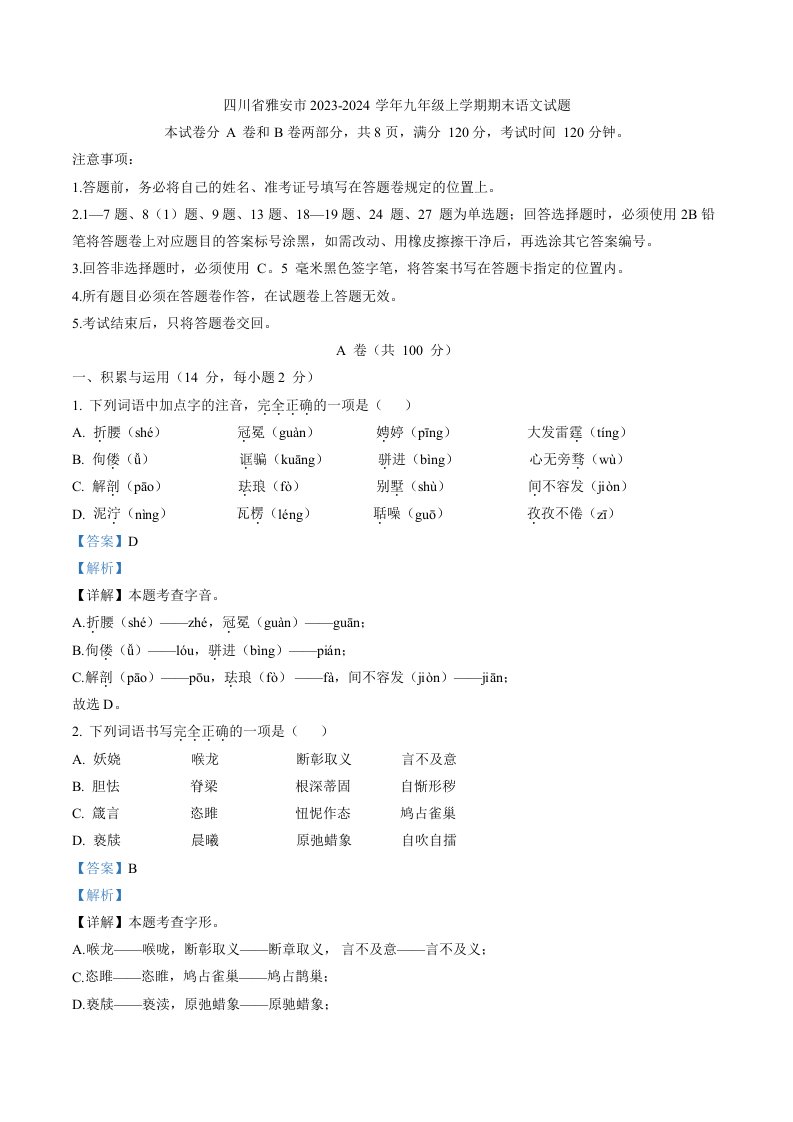 四川省雅安市2023-2024学年九年级上学期期末语文试题（解析版）