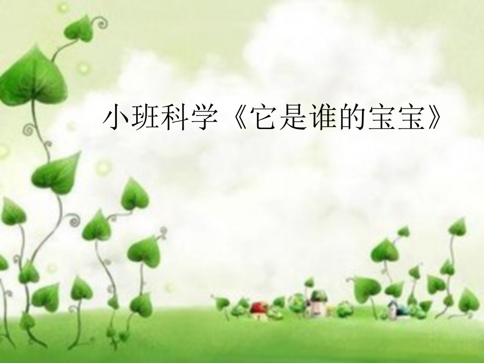 小班科学《它是谁的宝宝》PPT