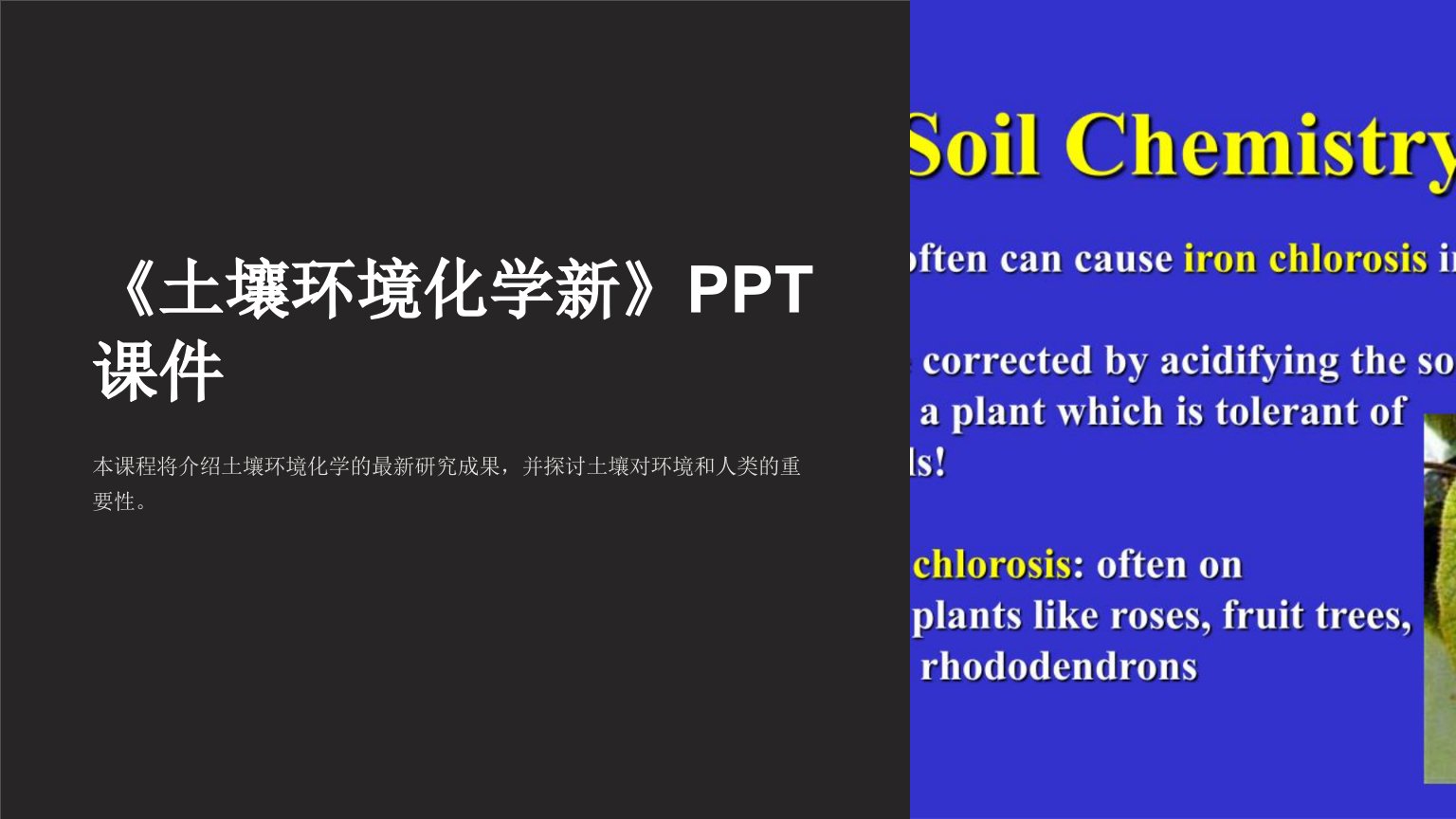 《土壤环境化学新》课件