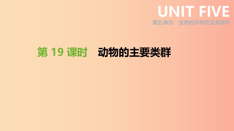 2019年中考生物专题复习五生物的多样性及其保护第19课时动物的主要类群课件新人教版