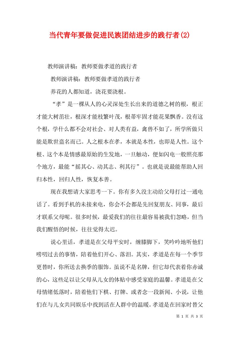 当代青年要做促进民族团结进步的践行者(2)（十）