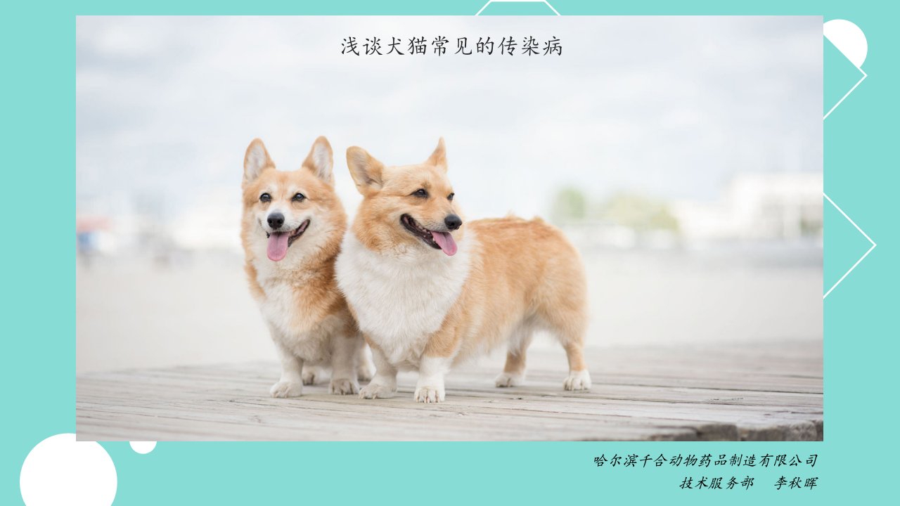 20180707浅谈犬猫常见的传染病课件