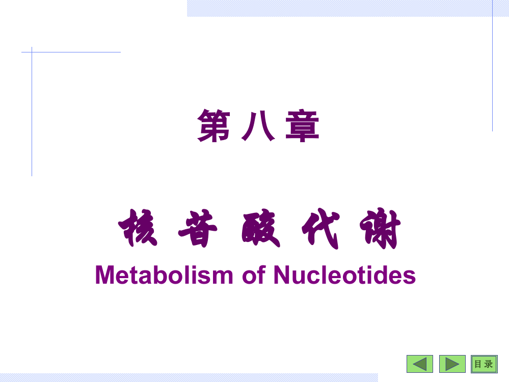 第八章核苷酸代谢ppt课件