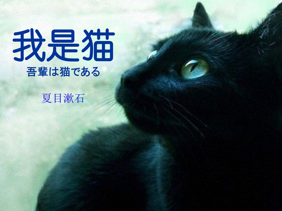 我是猫