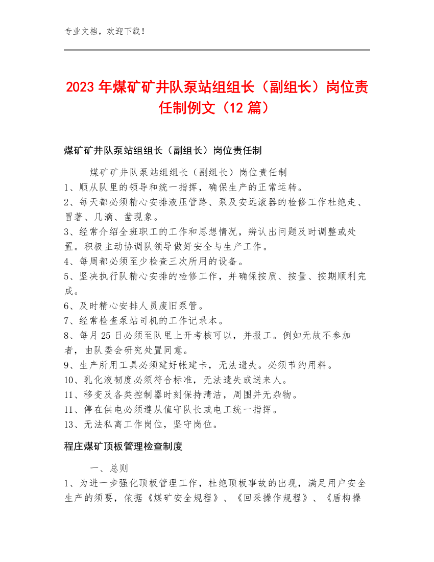 2023年煤矿矿井队泵站组组长（副组长）岗位责任制例文（12篇）