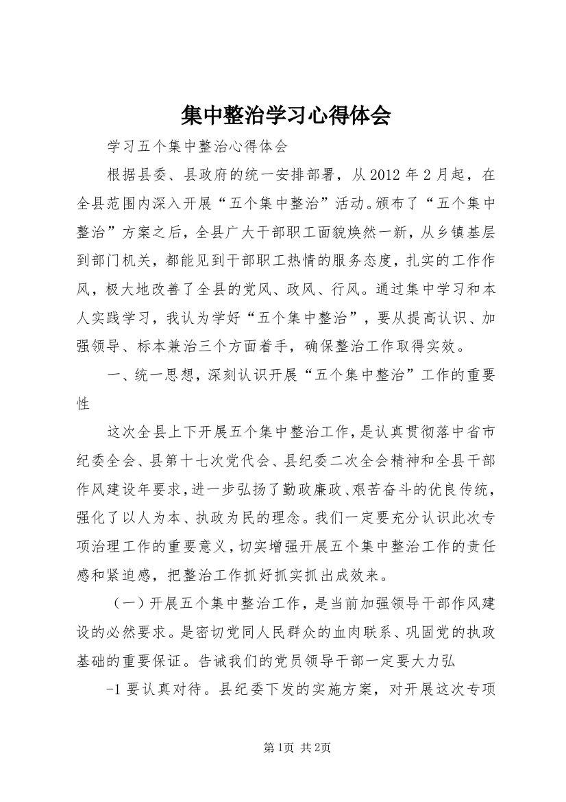 集中整治学习心得体会