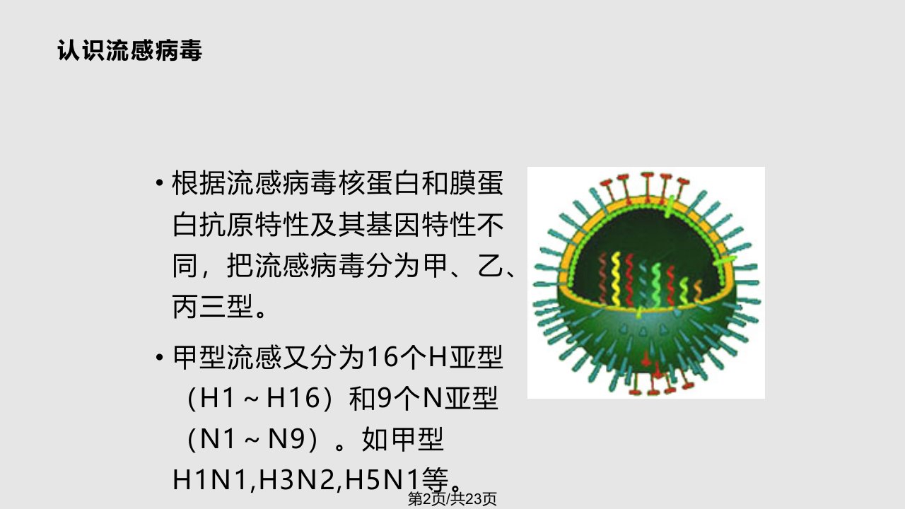 学校流感防控