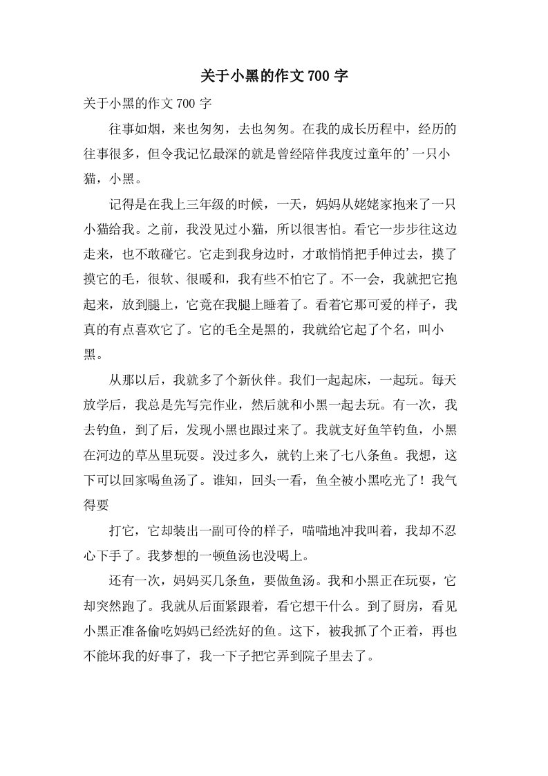 关于小黑的作文700字