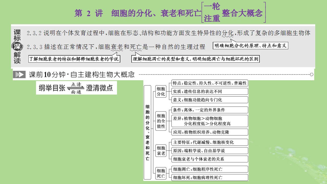 新课标2023版高考生物一轮总复习第四单元细胞的生命历程第2讲细胞的分化衰老和死亡课件