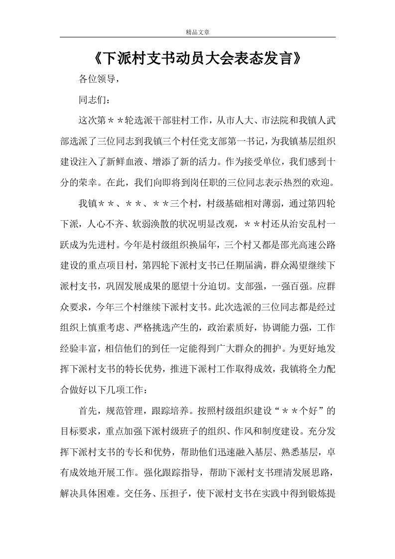 《下派村支书动员大会表态发言》