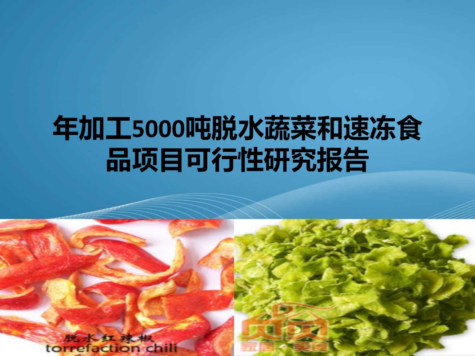 年加工5000吨脱水蔬菜和速冻食品项目项目可行性分析报告