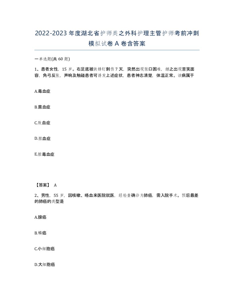 2022-2023年度湖北省护师类之外科护理主管护师考前冲刺模拟试卷A卷含答案