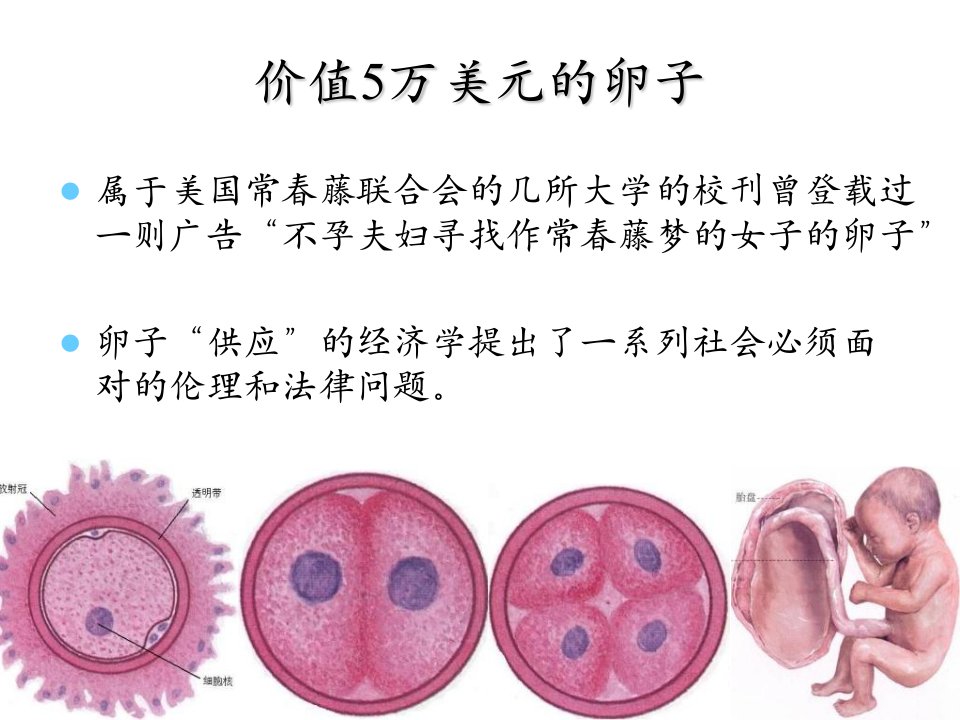 生命的延续-繁殖与遗传