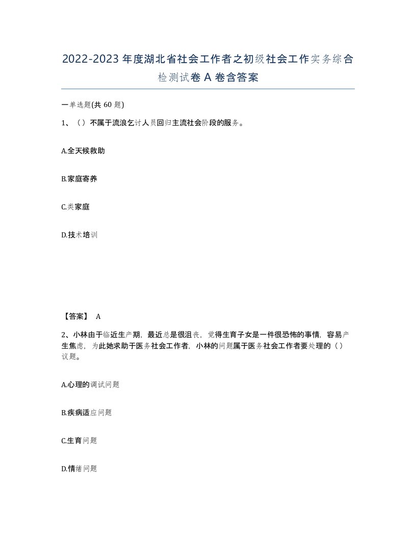 2022-2023年度湖北省社会工作者之初级社会工作实务综合检测试卷A卷含答案