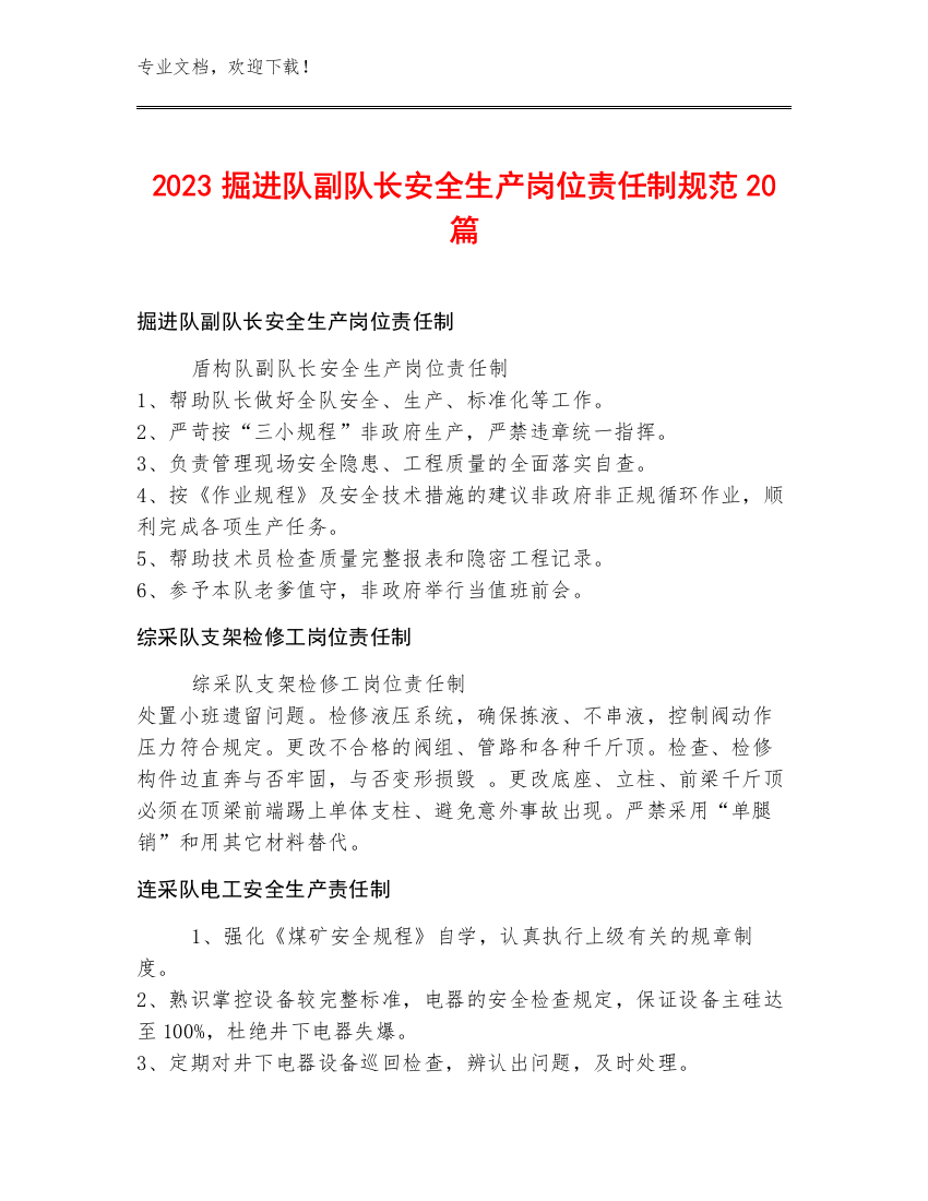 2023掘进队副队长安全生产岗位责任制规范20篇