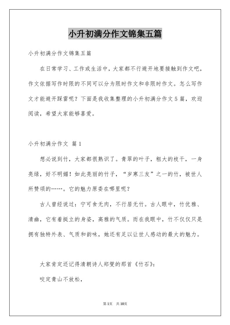 小升初满分作文锦集五篇精选