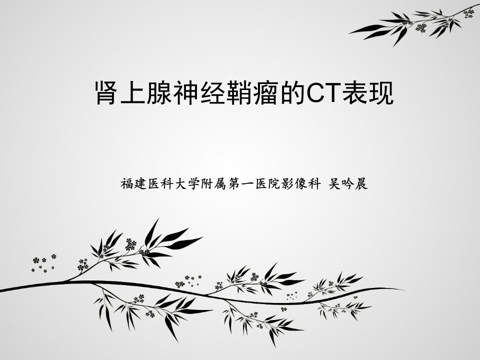 肾上腺神经鞘瘤的ct表现ppt课件