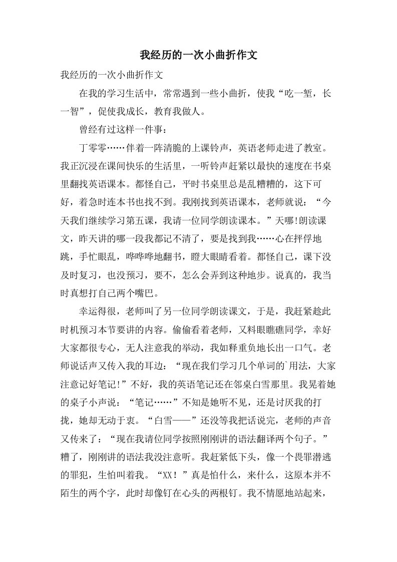 我经历的一次小波折作文