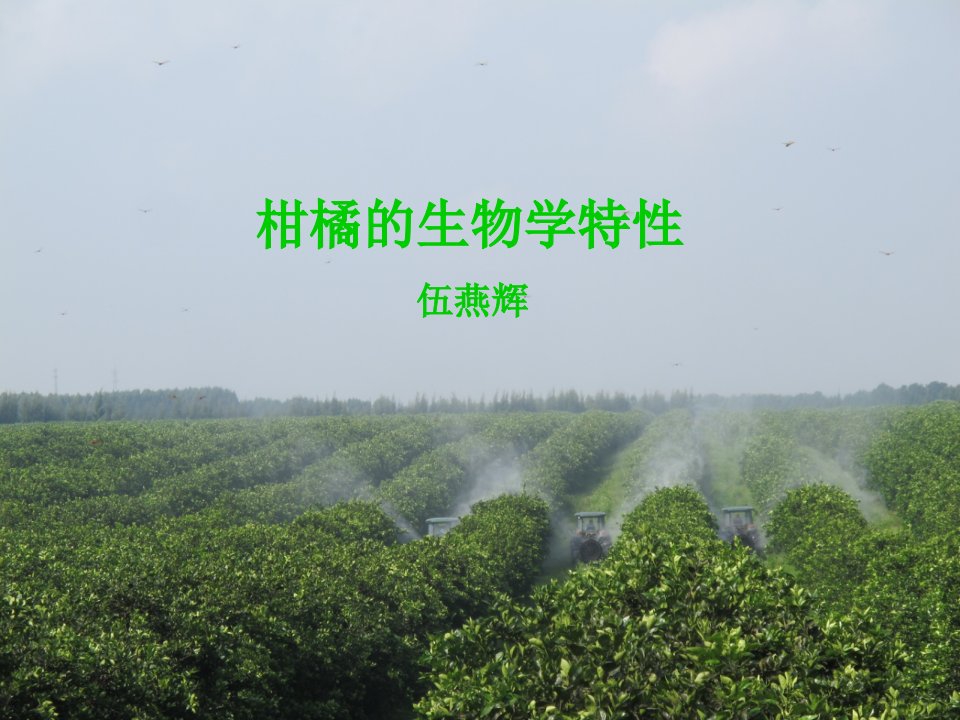 柑橘的生物学特性市公开课一等奖市赛课获奖课件