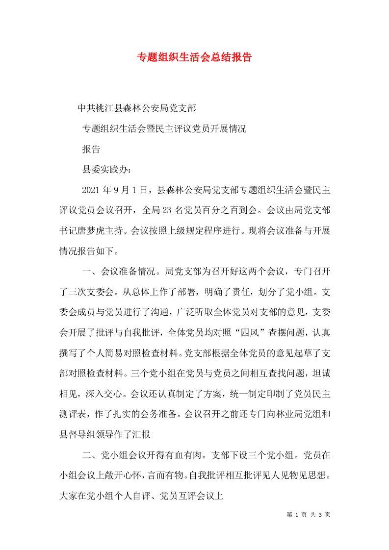 专题组织生活会总结报告（一）