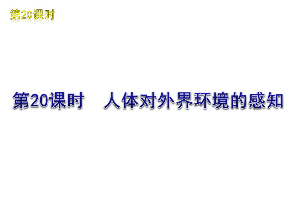 初中生物七年级下册《人体对外界环境的感知》复习课件