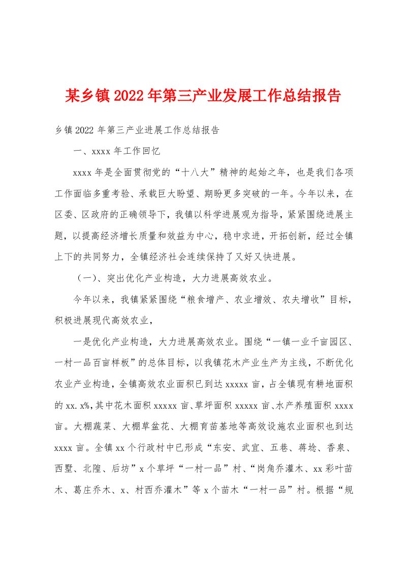 某乡镇2022年第三产业发展工作总结报告