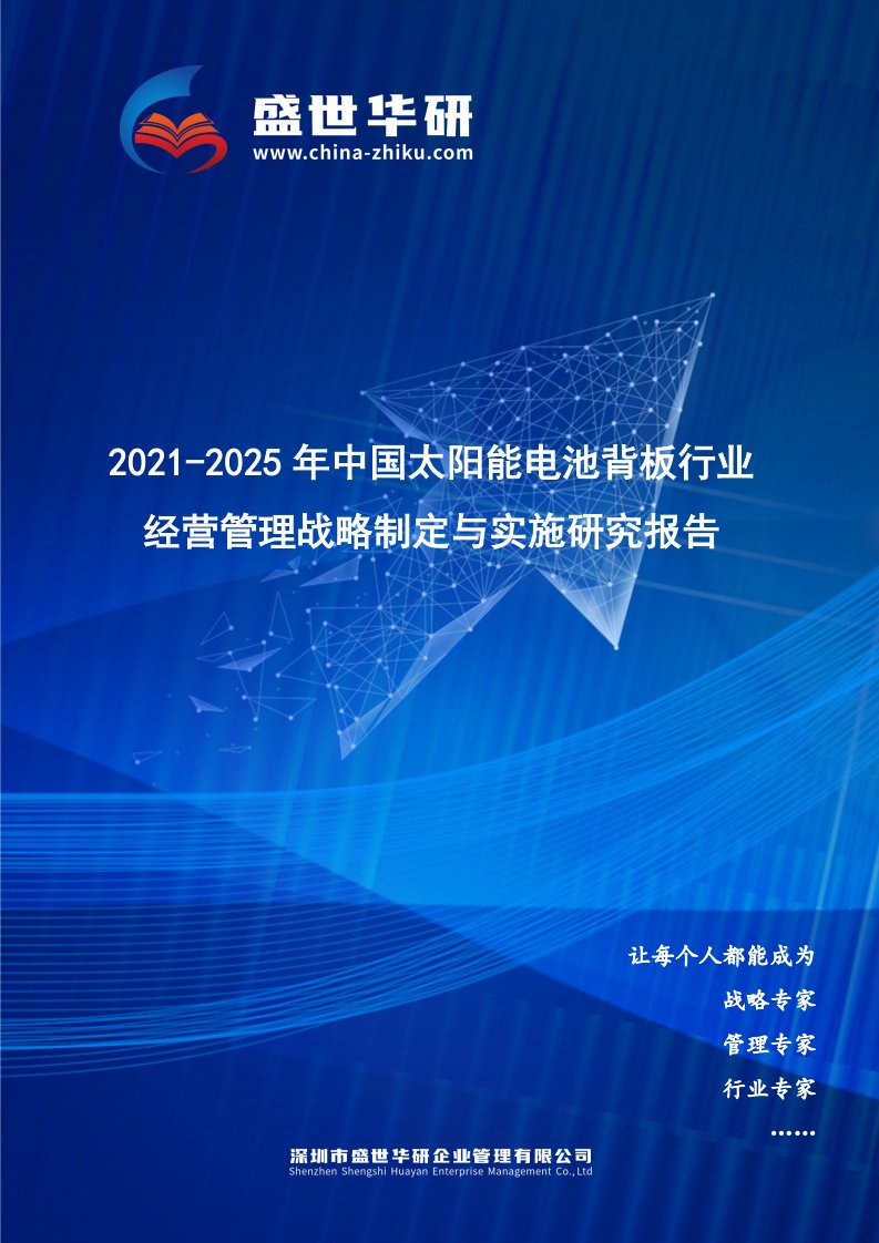 2021-2025年中国太阳能电池背板行业经营管理战略制定与实施研究报告