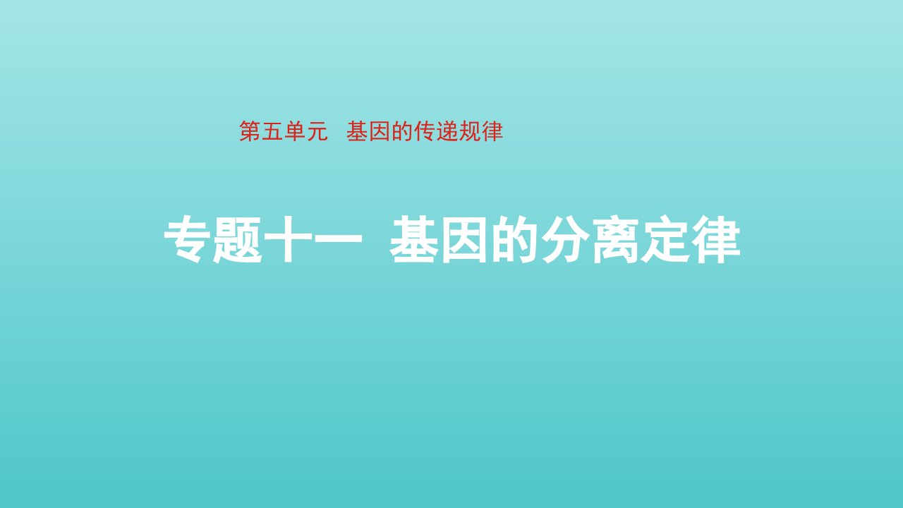 通用版2022届高考生物一轮复习专题十一基因的分离定律课件