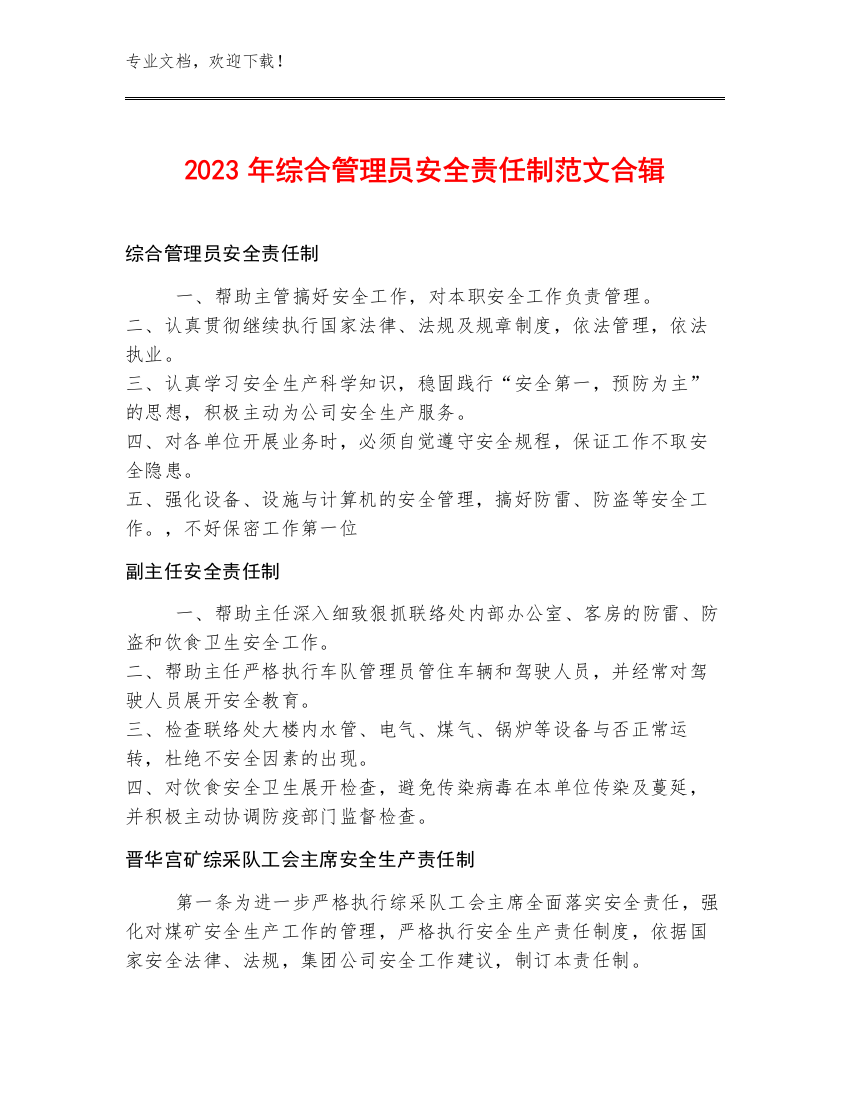 2023年综合管理员安全责任制范文合辑