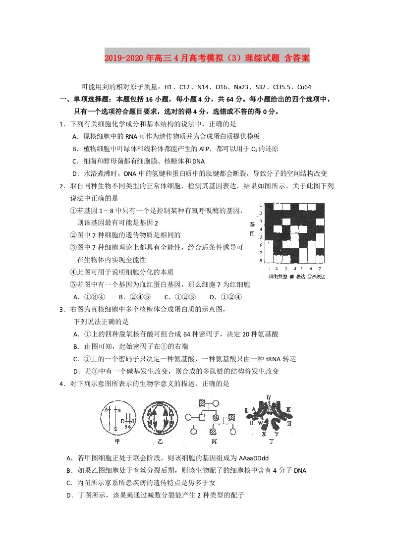 2019-2020年高三4月高考模拟（3）理综试题