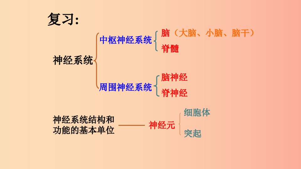 广东省河源市七年级生物下册