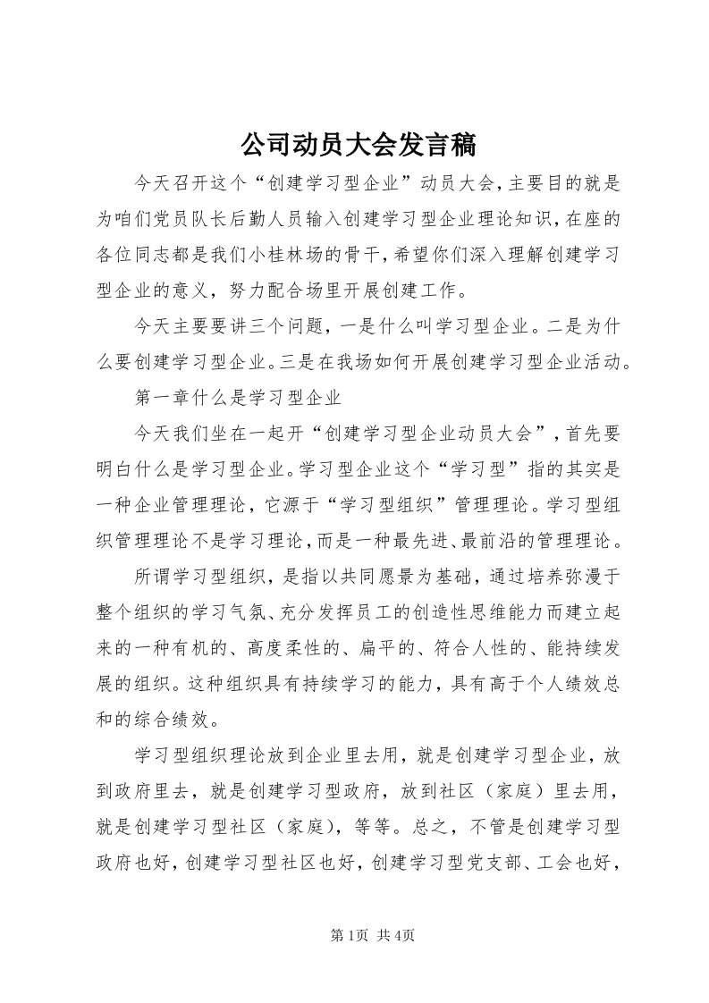 公司动员大会讲话稿