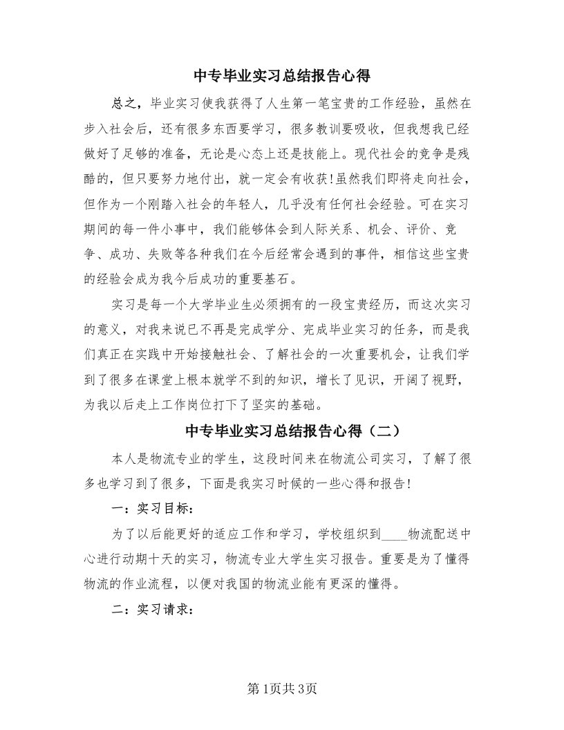 中专毕业实习总结报告心得（2篇）